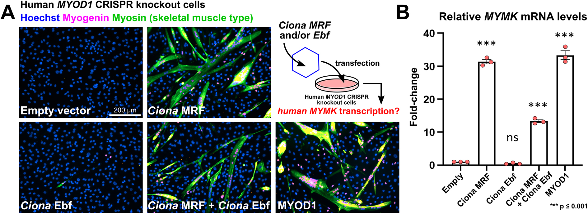 Image for Ref 26 Publication # 26