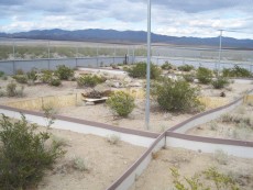 The Ivanpah Desert Tortoise Research Facility in Mountain Pass, California, has individual tortoise pens set up for the researchers. 